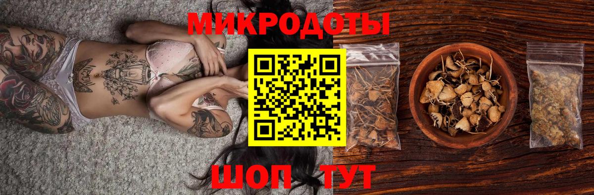 Псилоцибиновые грибы ЛСД Северск