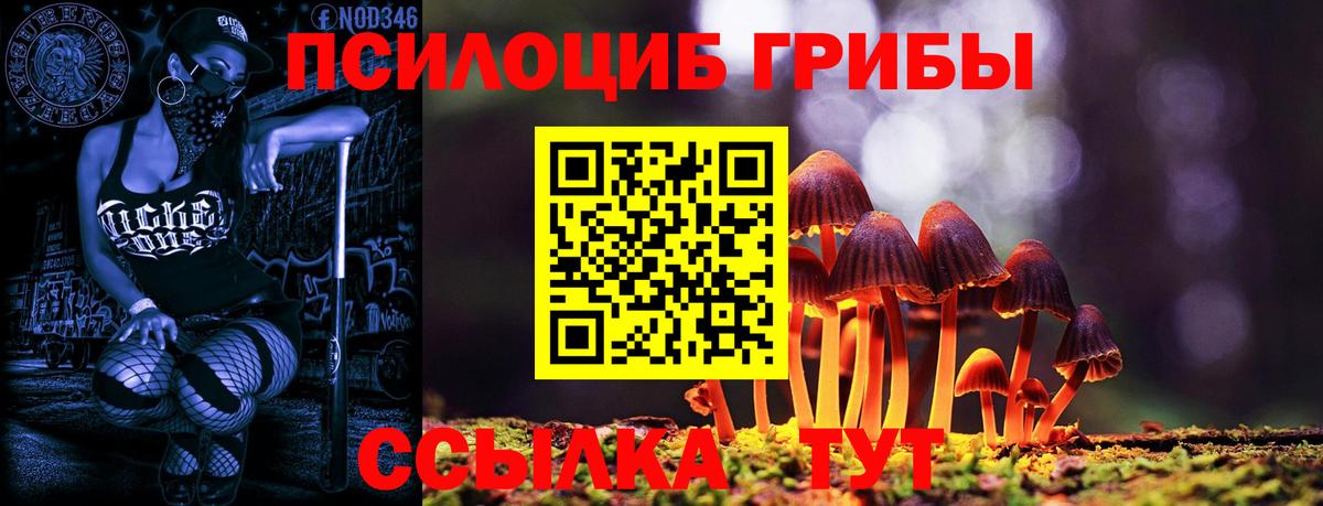 Псилоцибиновые грибы MAGIC MUSHROOMS  Вход с VPN  магазин продажи   Северск 
